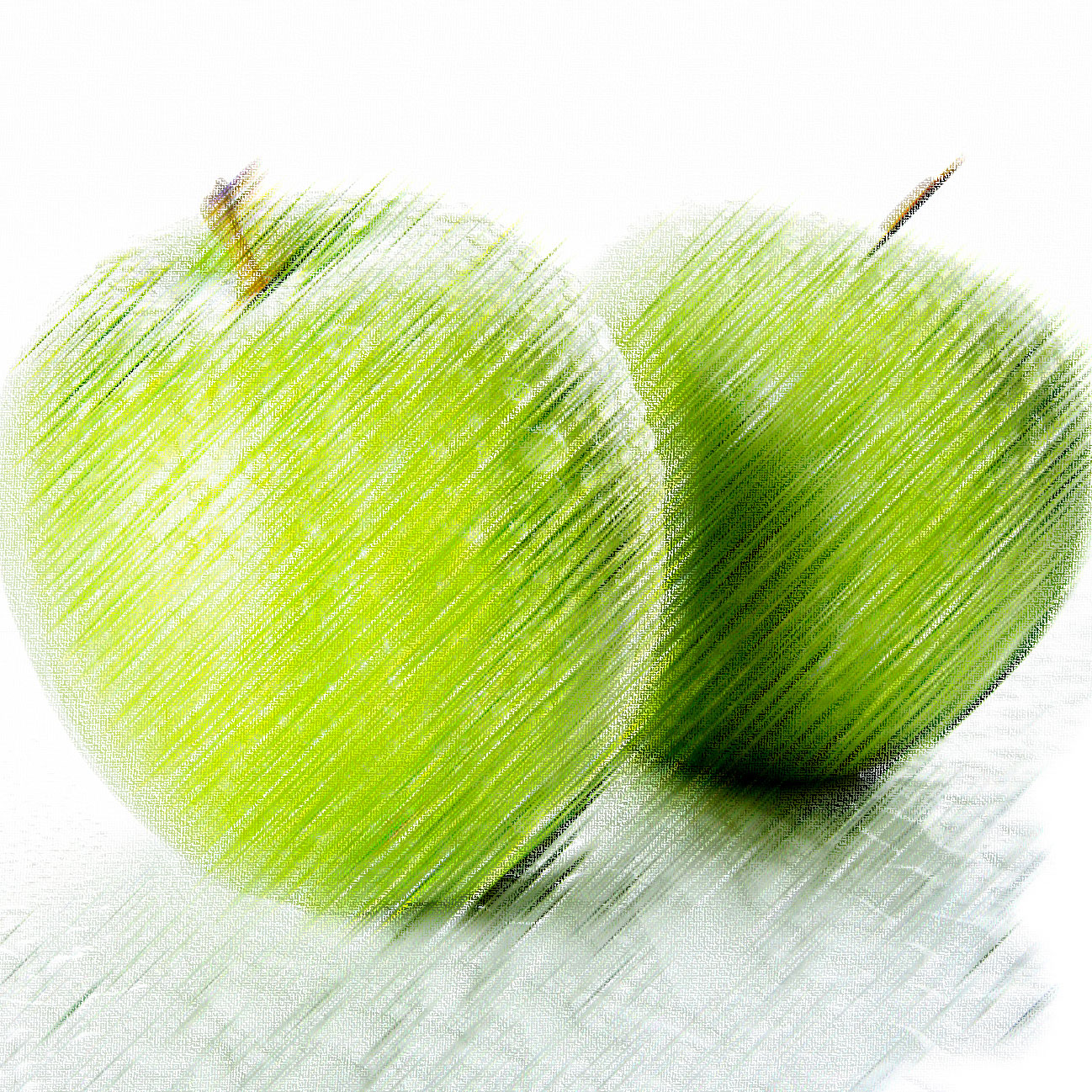 Galerija fotografija