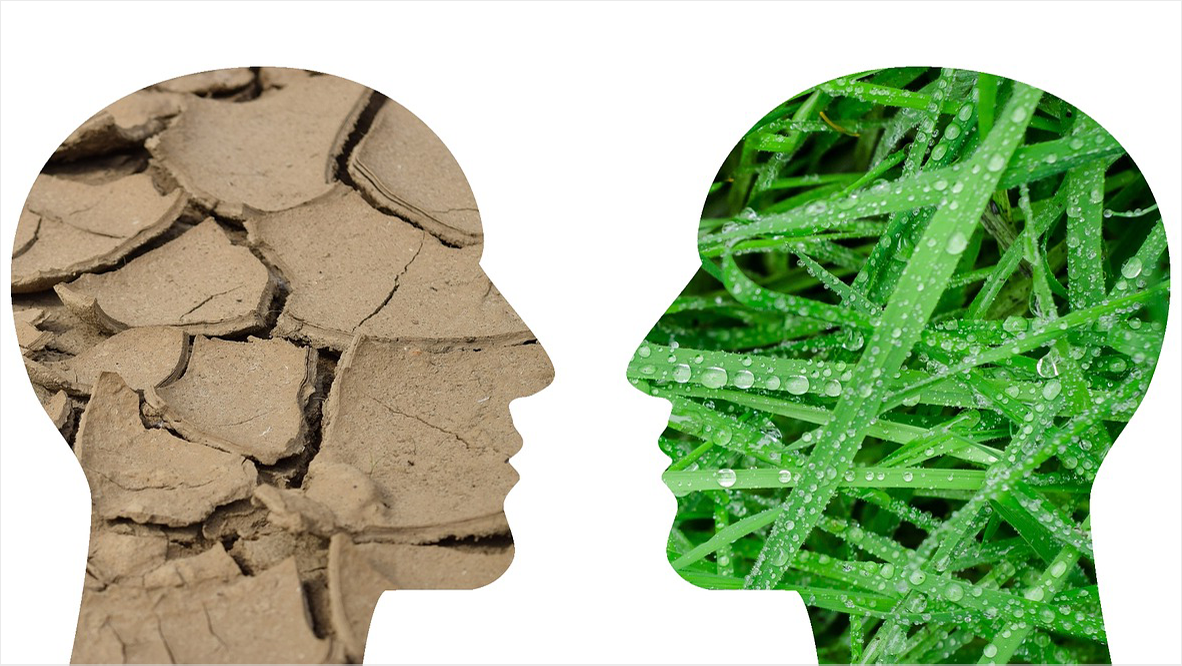 Kako je sve započelo